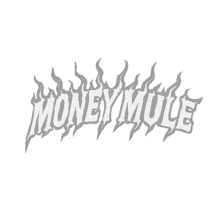Money Mule 